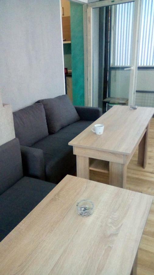 Apartmani Spasic Leskovac  Bagian luar foto