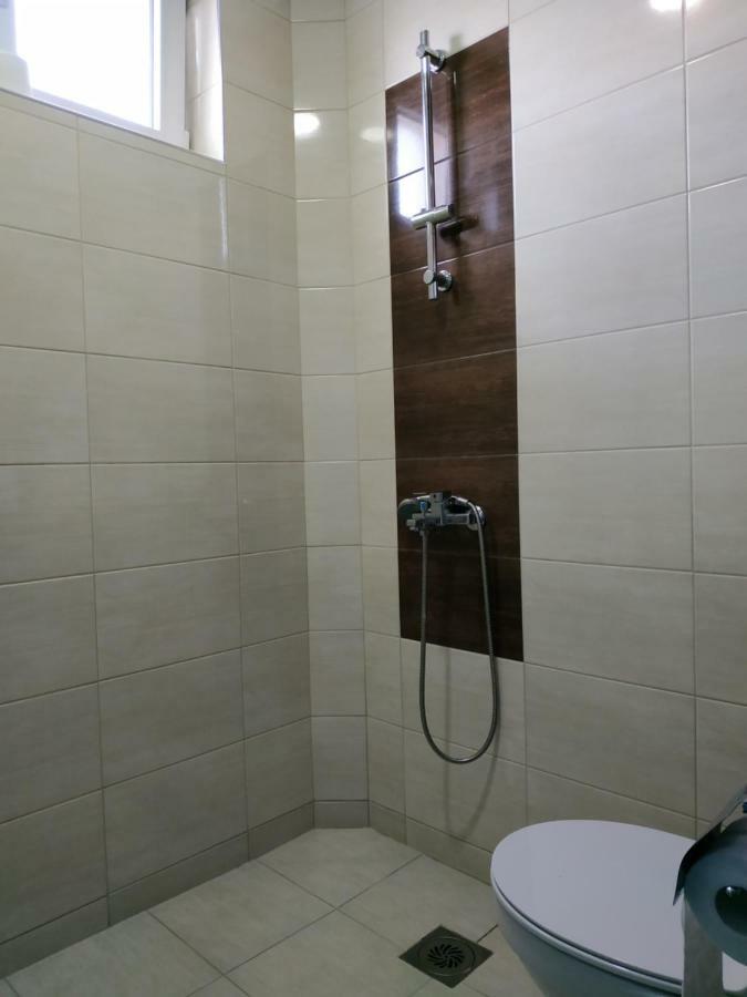 Apartmani Spasic Leskovac  Bagian luar foto